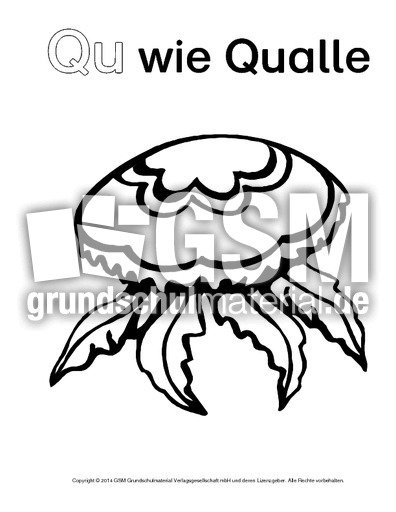 Qu-wie-Qualle-1.pdf
